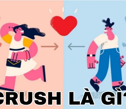 crush là gì?