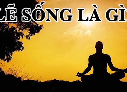 Lẽ sống là gì?